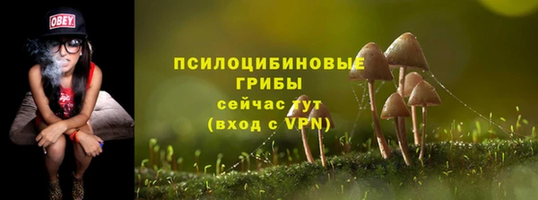 2c-b Алексин