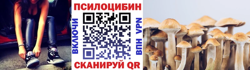 Галлюциногенные грибы GOLDEN TEACHER  Бабаево 