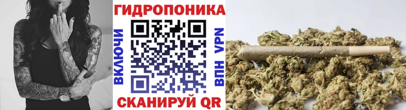 kraken маркетплейс  Бабаево  Шишки марихуана Amnesia  продажа наркотиков 